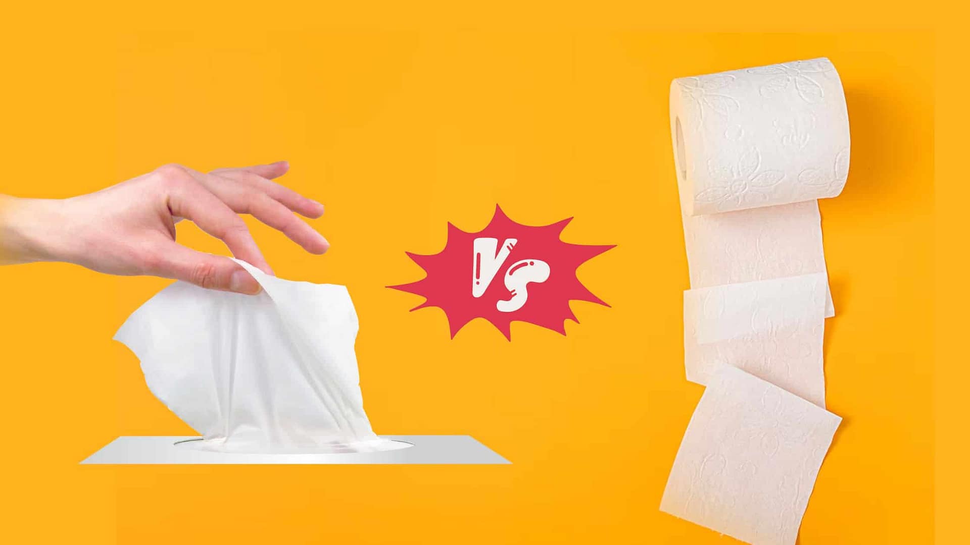 Facial Tissue vs. Toilet Paper A Comprehensive Comparison